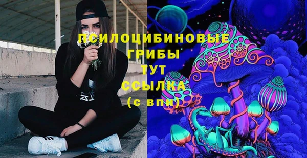 таблы Верхний Тагил