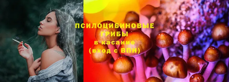 Галлюциногенные грибы Cubensis  ОМГ ОМГ как войти  Дятьково 