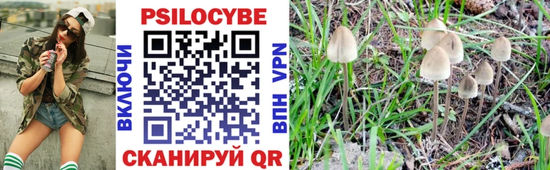 Галлюциногенные грибы Cubensis  Дятьково 