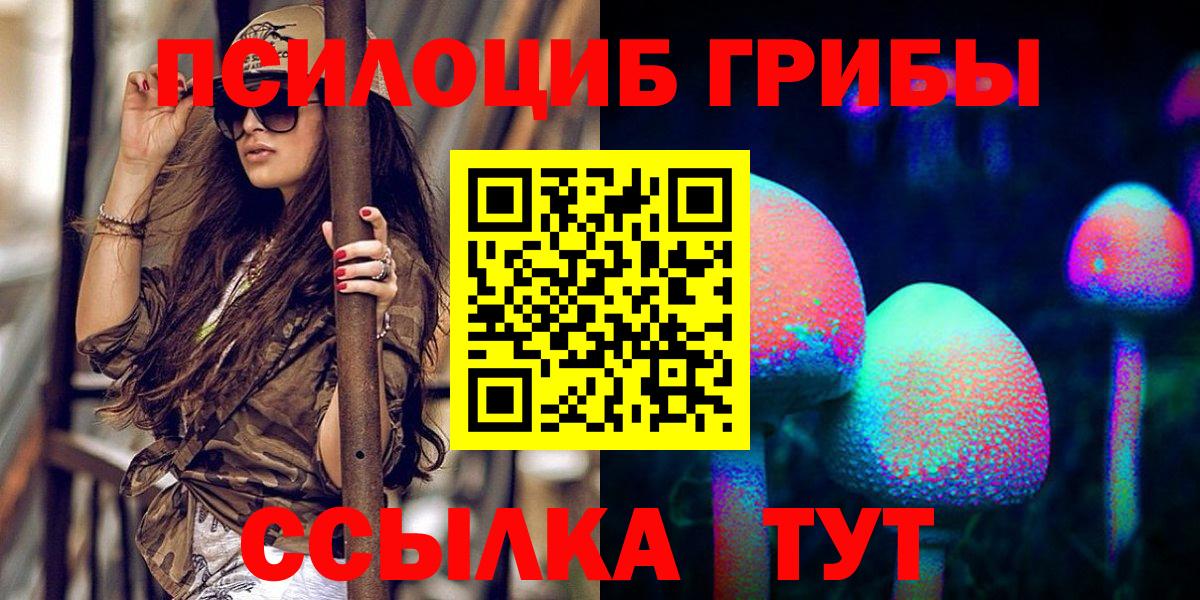 Псилоцибиновые грибы MAGIC MUSHROOMS  магазин  наркотиков  Дятьково 