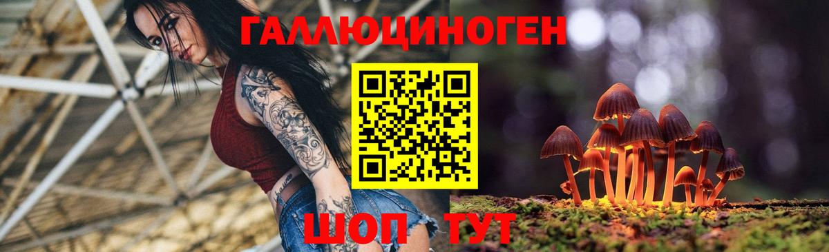 Галлюциногенные грибы MAGIC MUSHROOMS Дятьково